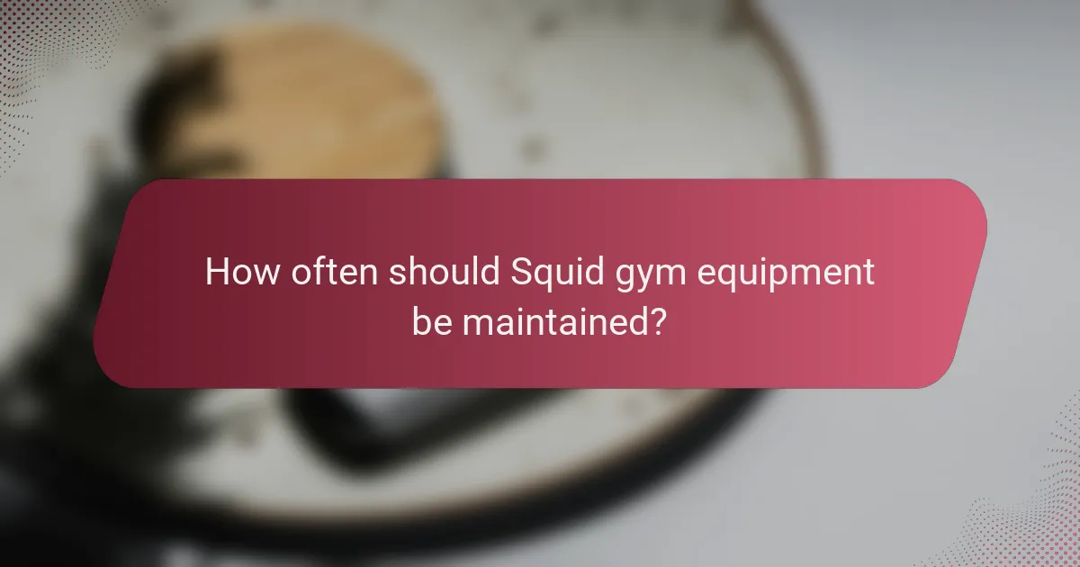 How often should Squid gym equipment be maintained?