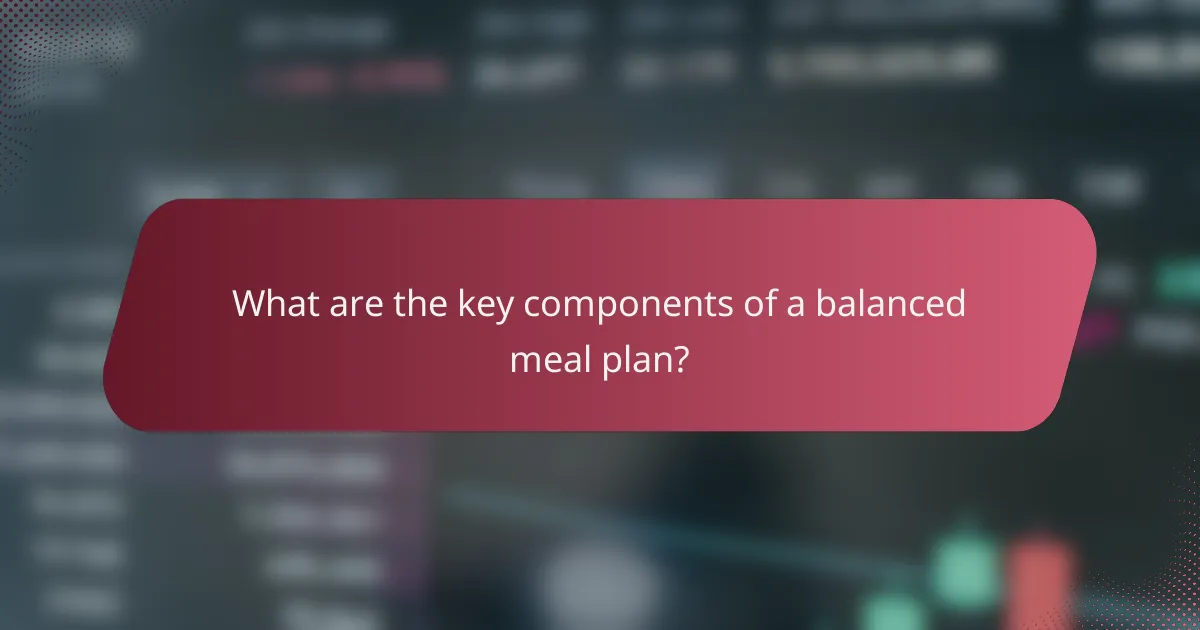 What are the key components of a balanced meal plan?