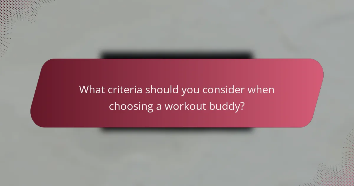 What criteria should you consider when choosing a workout buddy?
