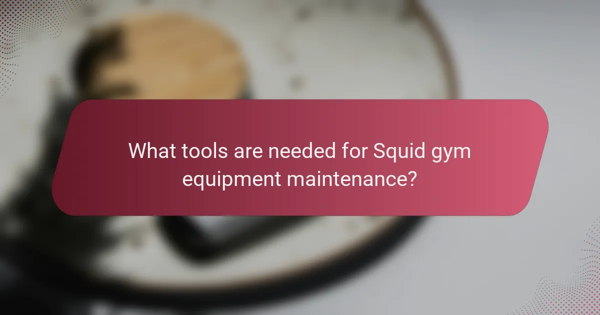 What tools are needed for Squid gym equipment maintenance?